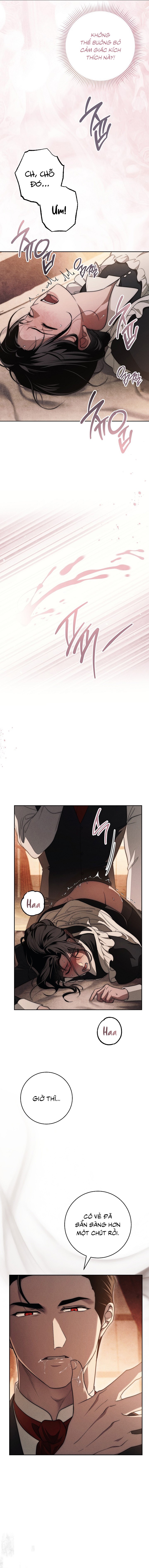 Mộ Thiên Nga - Chap 25 - Trang 11