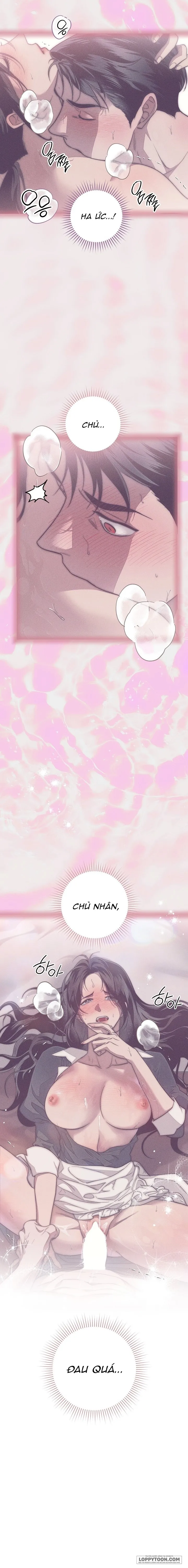Mộ Thiên Nga - Chap 8 - Trang 8