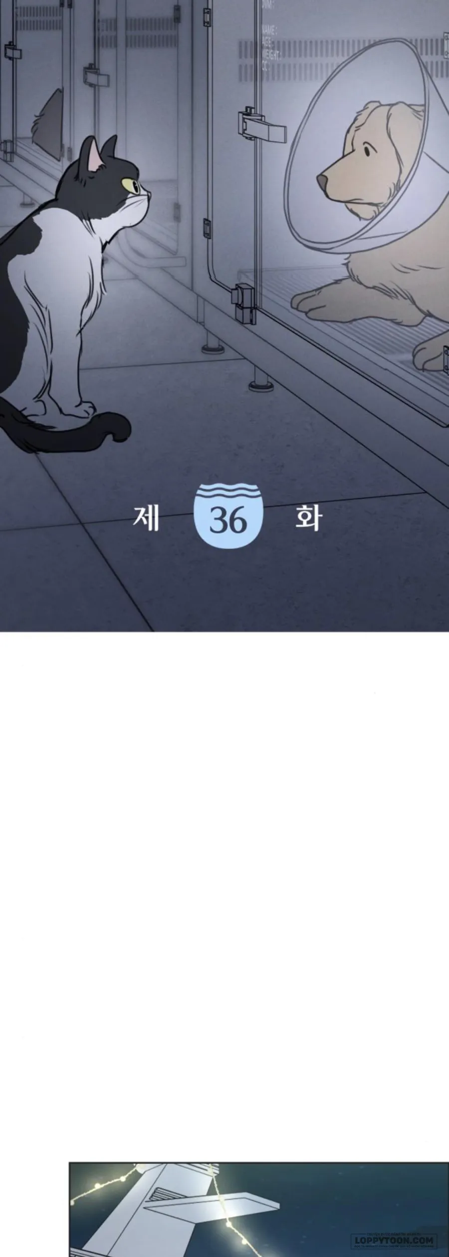 Muốn Được Lừa Dối - Chap 36 - Trang 21