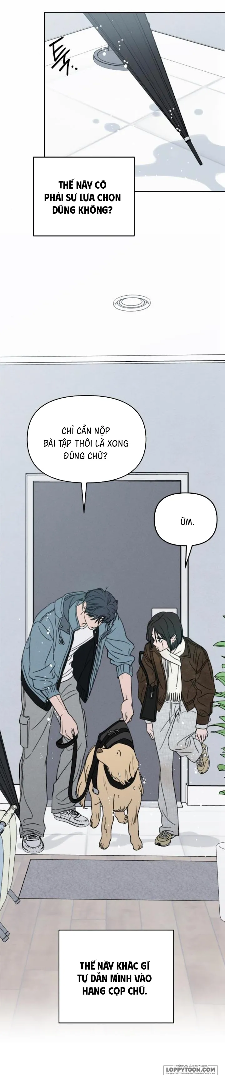 Muốn Được Lừa Dối - Chap 42 - Trang 12