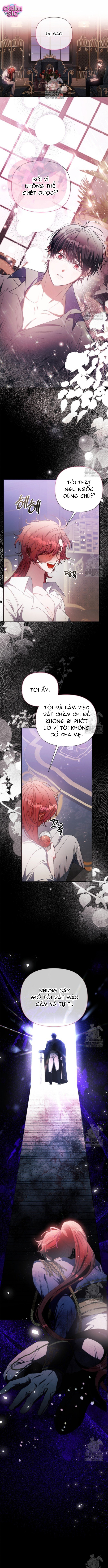 Này Tiểu Công Tước Chỉ Cần Tin Tưởng Tôi!!! - Chap 81 - Trang 3