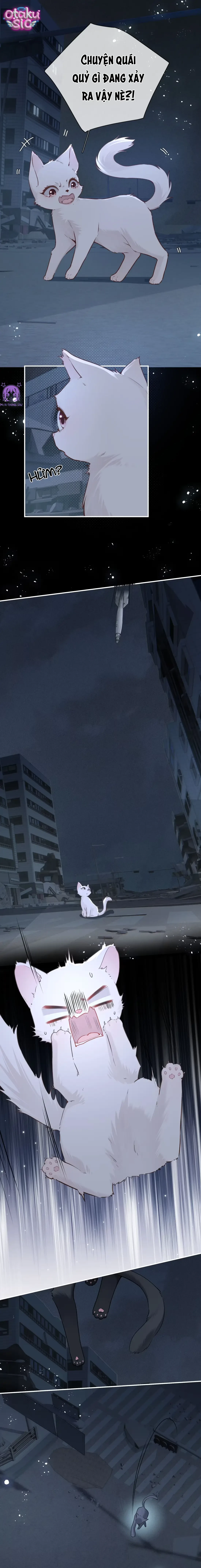 Rung Động Nguy Hiểm - Chap 21 - Trang 6