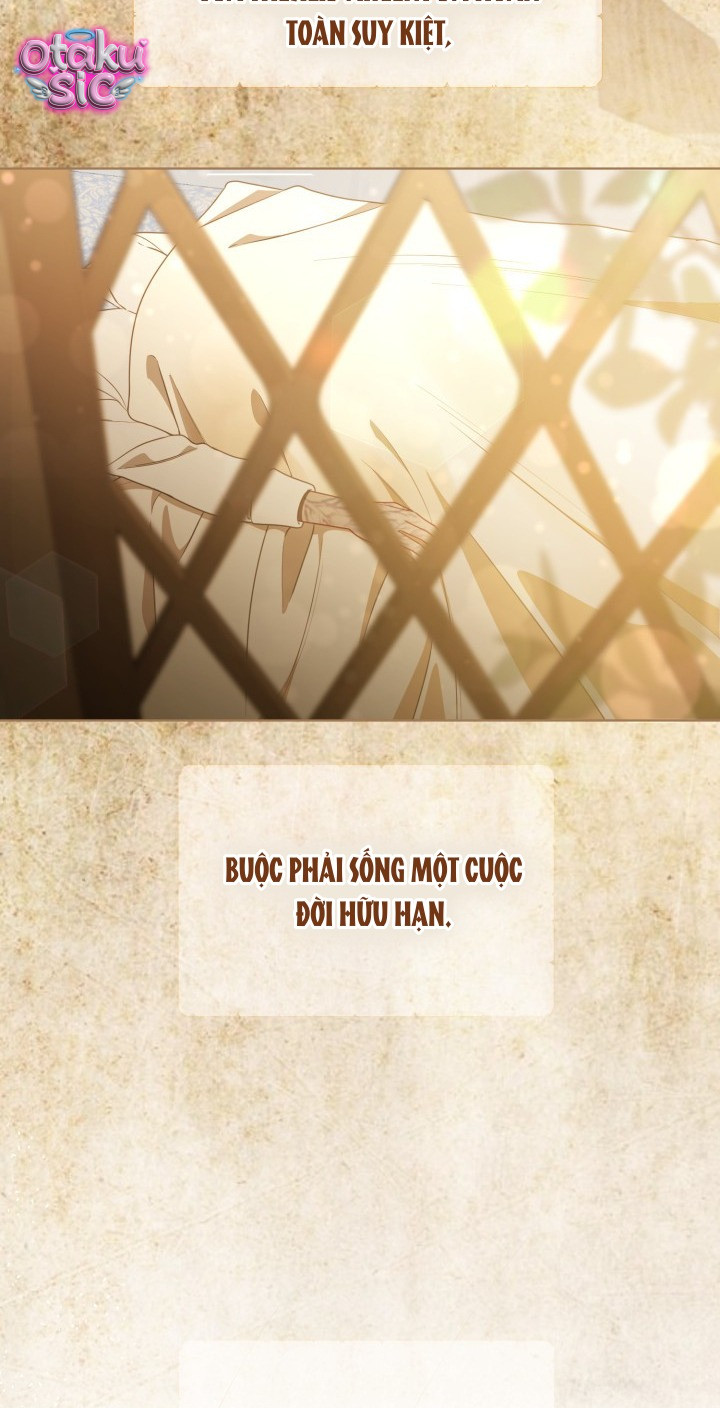 Sự Điều Trị Đặc Biệt Của Tinh Linh - Chap 115 - Trang 5