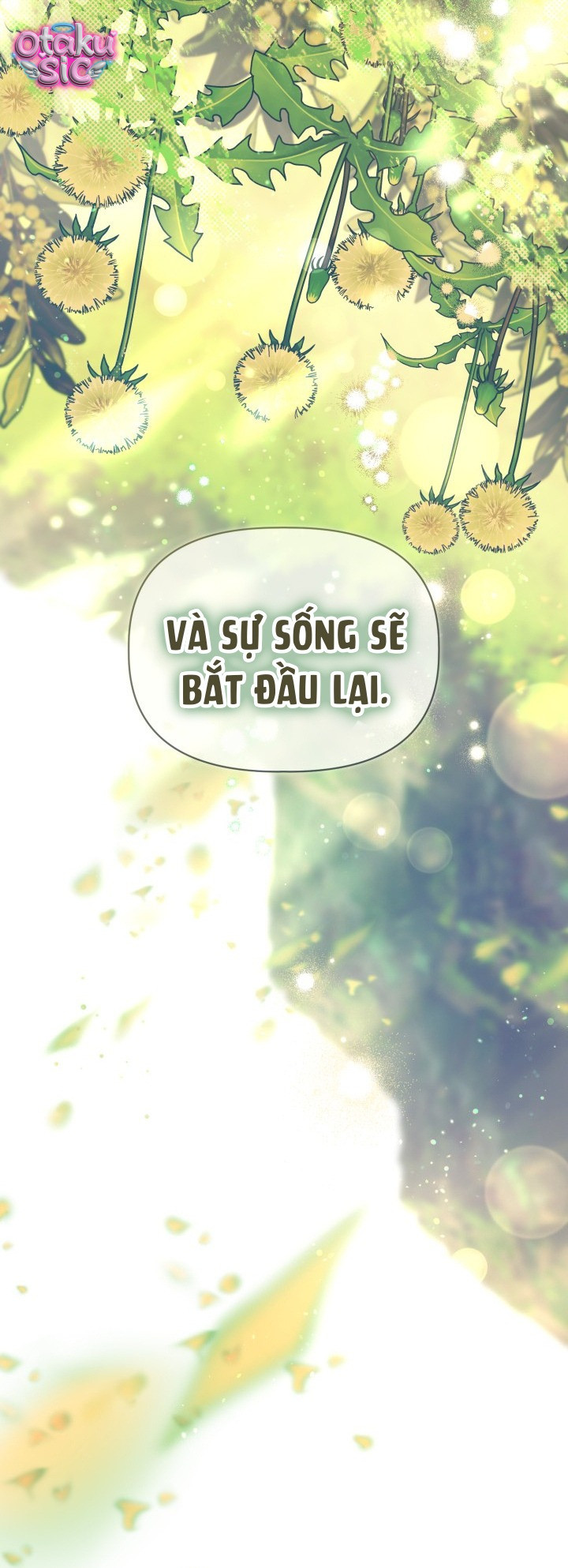 Sự Điều Trị Đặc Biệt Của Tinh Linh - Chap 125 - Trang 61