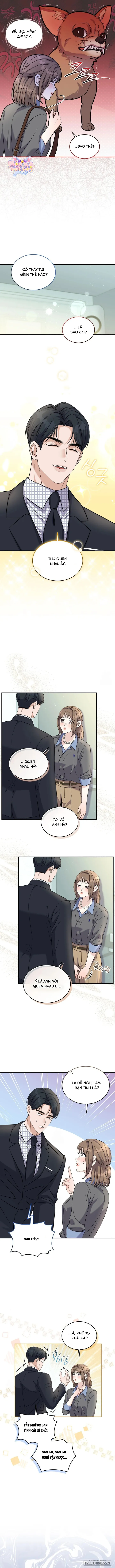 Sự Vắng Mặt của Tình Yêu Lãng Mạn - Chap 13 - Trang 8