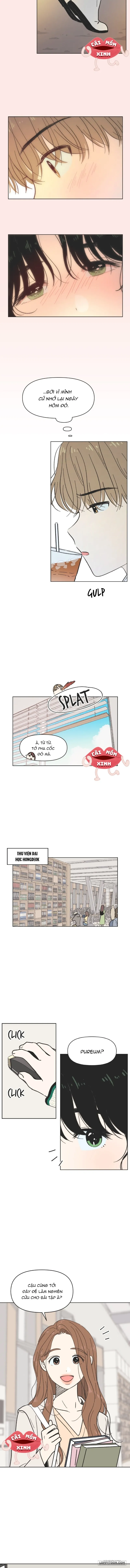 Thanh Xuân Ngọt Ngào - Chap 5 - Trang 8