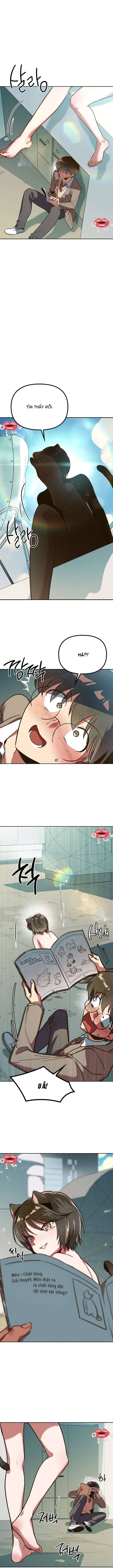 Thiếu Nữ 12 Con Giáp - Chap 1 - Trang 2