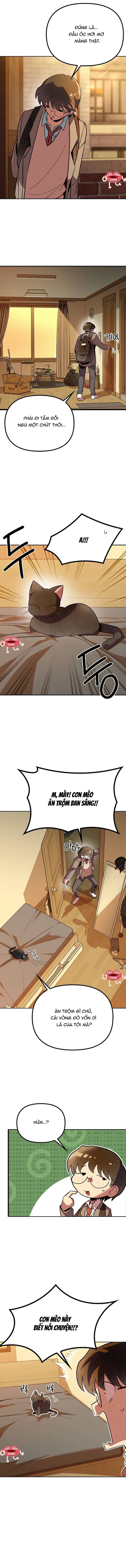 Thiếu Nữ 12 Con Giáp - Chap 1 - Trang 20