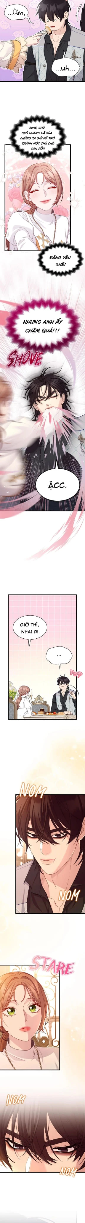 Thuần phục chó điên thành quý ông - Chap 27 - Trang 5