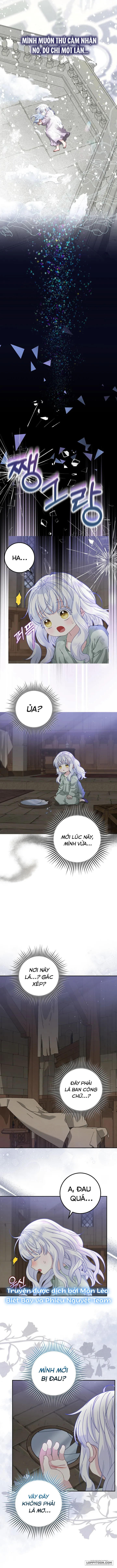 Tiểu Thư Báo Tuyết Của Gia Tộc Báo Đen - Chap 1 - Trang 11