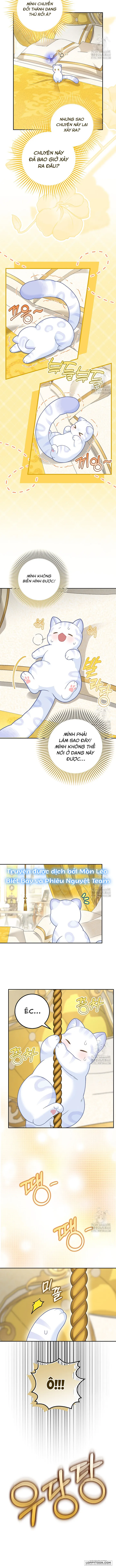 Tiểu Thư Báo Tuyết Của Gia Tộc Báo Đen - Chap 21 - Trang 5