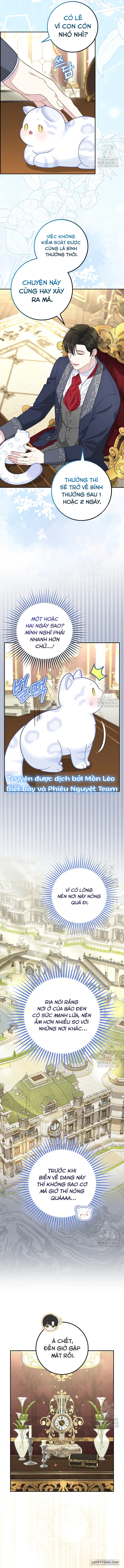 Tiểu Thư Báo Tuyết Của Gia Tộc Báo Đen - Chap 21 - Trang 8