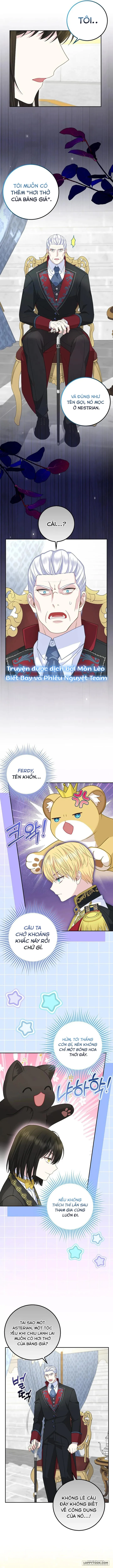 Tiểu Thư Báo Tuyết Của Gia Tộc Báo Đen - Chap 35 - Trang 9