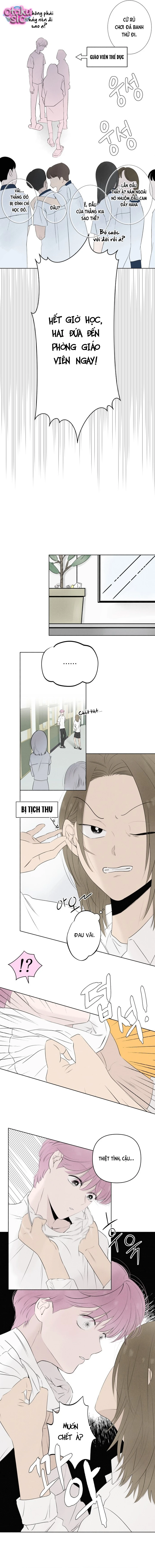 Tình yêu vị cà chua - Chap 5 - Trang 5