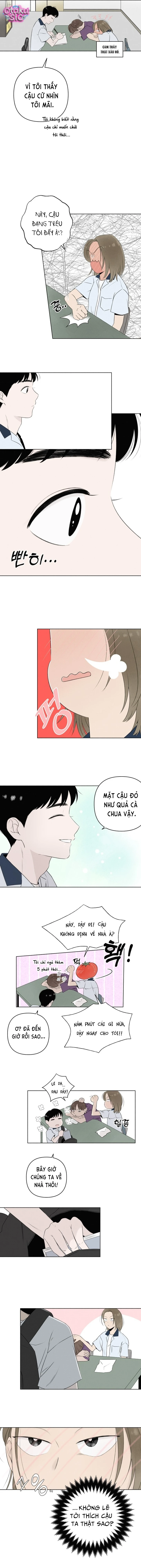 Tình yêu vị cà chua - Chap 7 - Trang 10