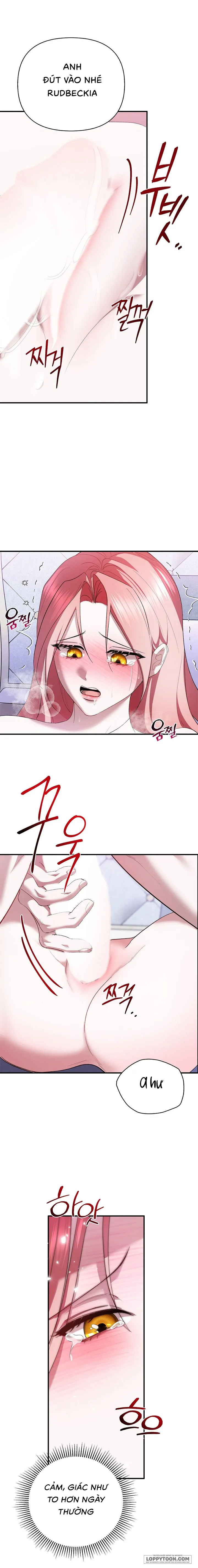 Tôi Đã Ăn Thay Cho Chồng - Chap 3 - Trang 22