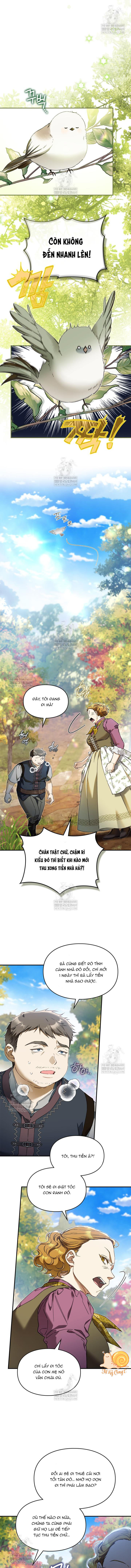 Tôi Đã Đính Hôn Với Vị Công Tước Mù - Chap 8 - Trang 7