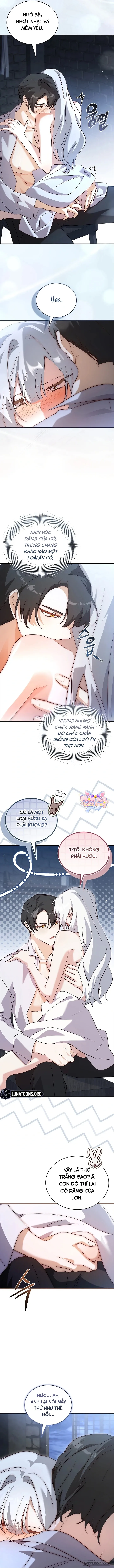 Tôi Đang Tìm Con Sói Đã Trêu Đùa Con Rắn Đen - Chap 5 - Trang 11