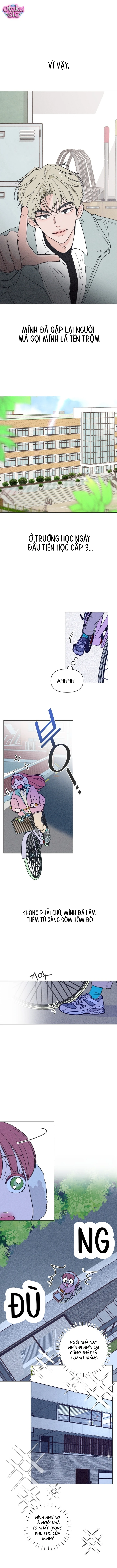 Tôi muốn chấm dứt mối tình đơn phương này! - Chap 2 - Trang 1