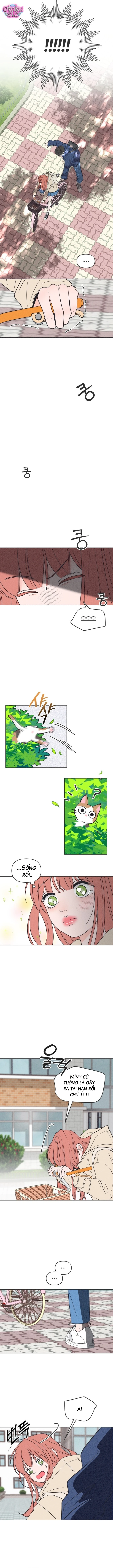 Tôi muốn chấm dứt mối tình đơn phương này! - Chap 2 - Trang 8