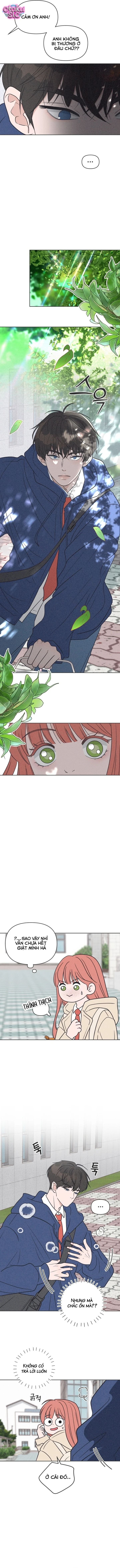 Tôi muốn chấm dứt mối tình đơn phương này! - Chap 2 - Trang 9