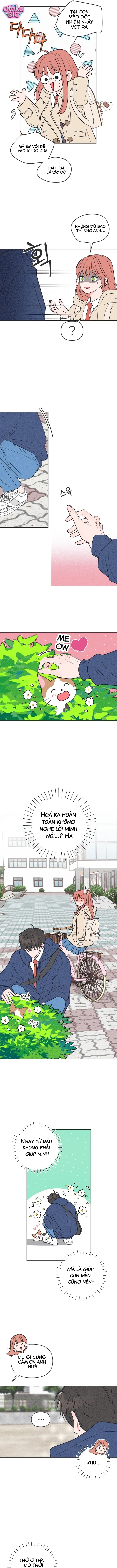 Tôi muốn chấm dứt mối tình đơn phương này! - Chap 2 - Trang 10