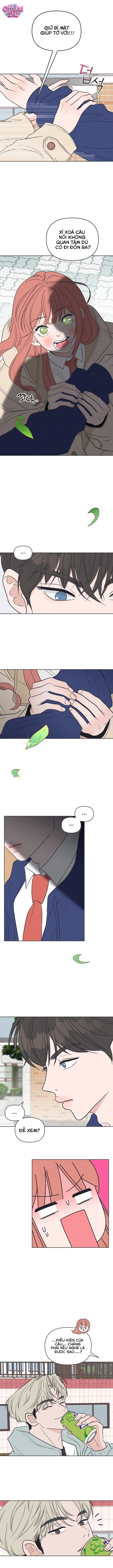 Tôi muốn chấm dứt mối tình đơn phương này! - Chap 3 - Trang 11