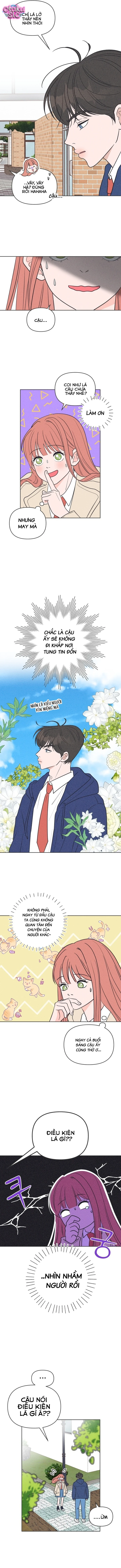 Tôi muốn chấm dứt mối tình đơn phương này! - Chap 3 - Trang 3
