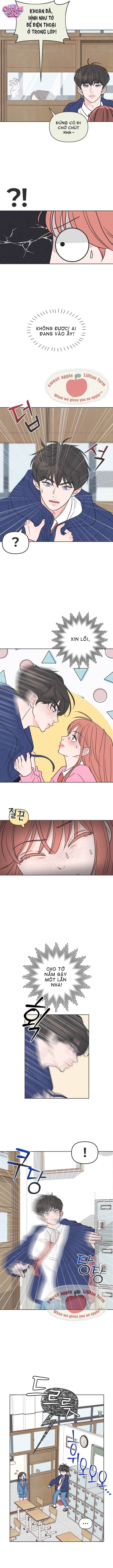 Tôi muốn chấm dứt mối tình đơn phương này! - Chap 5 - Trang 6