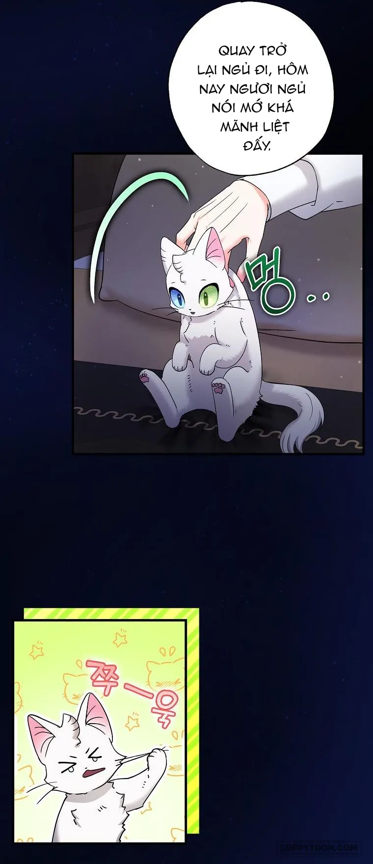 Trở Thành Miêu Nữ Của Hoàng Đế - Chap 21 - Trang 5