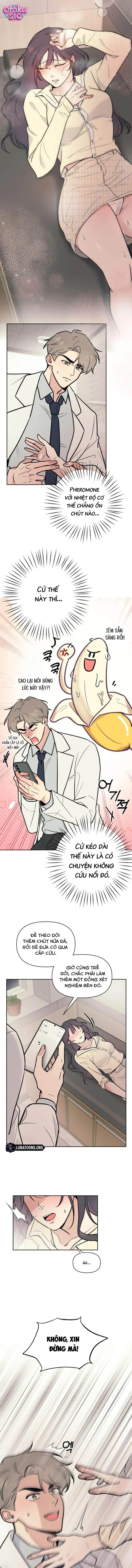 Việc Gì Khó Có Bác Sĩ Lo! - Chap 2 - Trang 3