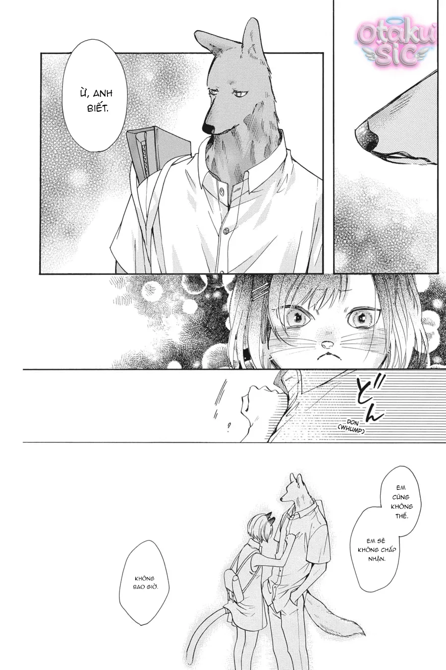 Vượt Qua Bức Tường Tình Yêu - Chap 13 - Trang 28