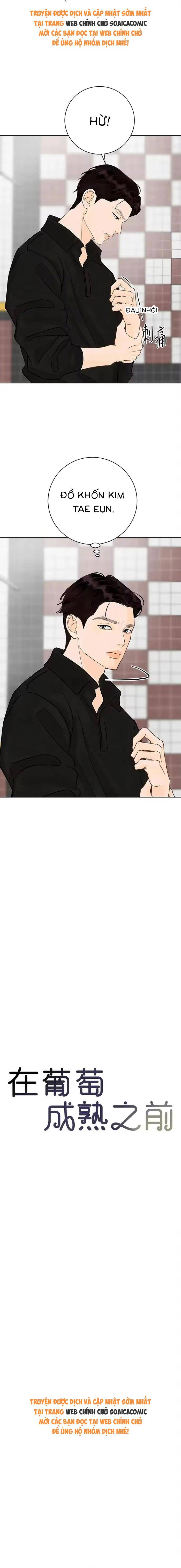 Vượt Ranh Vì Một Chữ Nợ - Chap 19 - Trang 4