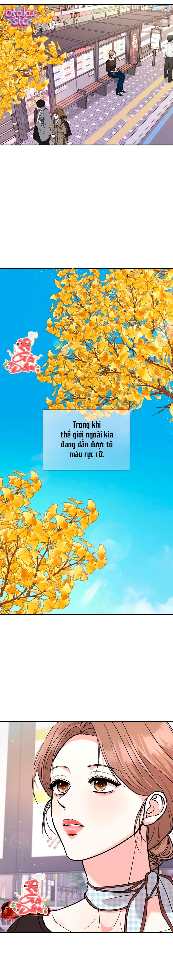 [18+] Bản Tình Ca Dang Dở - Chap 25 - Trang 20