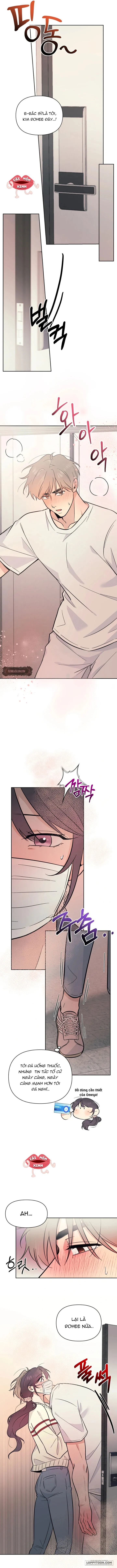 [18+] Đơn Thuốc Của Tôi Chính Là Bác Sĩ - Chap 6 - Trang 6