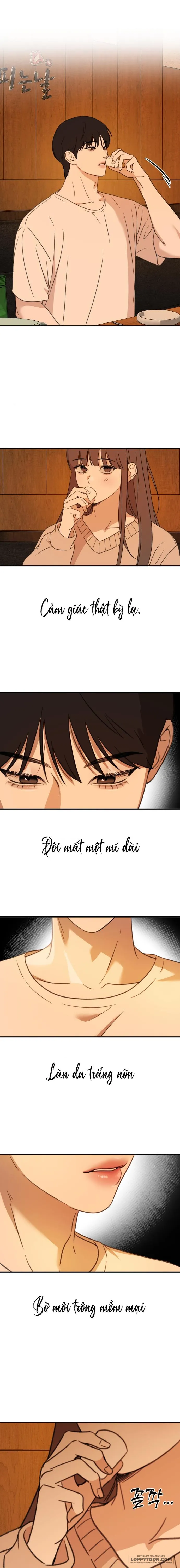 [18+] Hẹn Hò Thì Ngọt Ngào, Sống Chung Thì Nóng Bỏng - Chap 1 - Trang 19