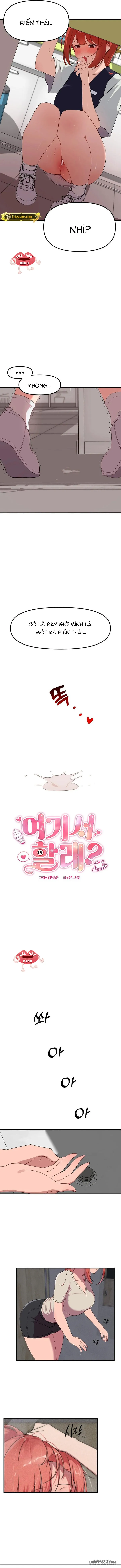 [18+] Làm Luôn Ở Đây Nhé? - Chap 1 - Trang 5