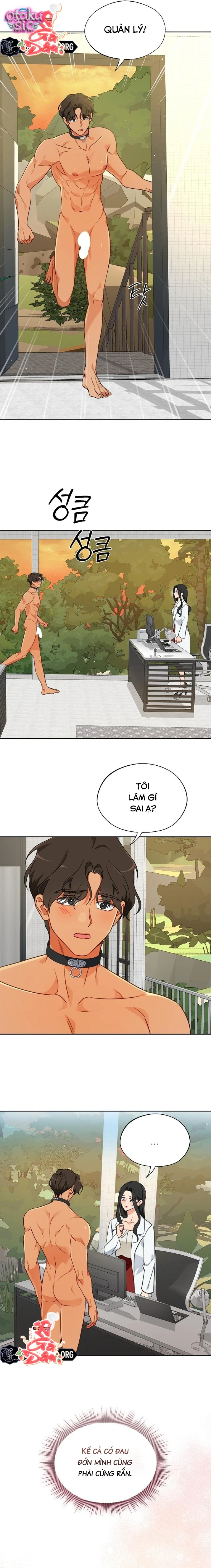 [18+] Mãnh Thú Trong Phòng Nhân Giống - Chap 12 - Trang 16