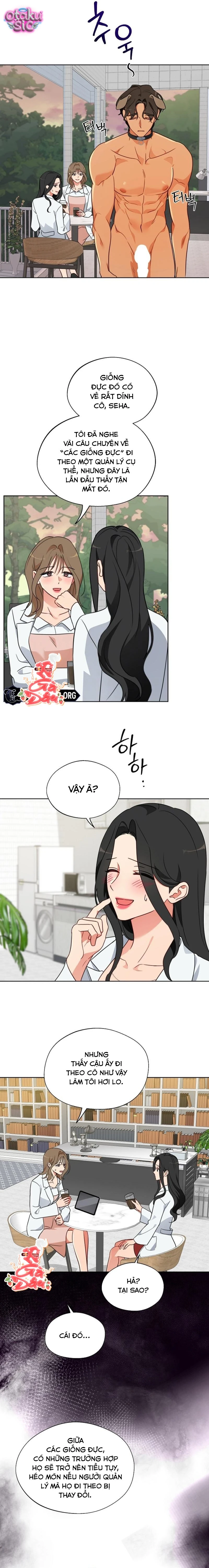 [18+] Mãnh Thú Trong Phòng Nhân Giống - Chap 12 - Trang 7