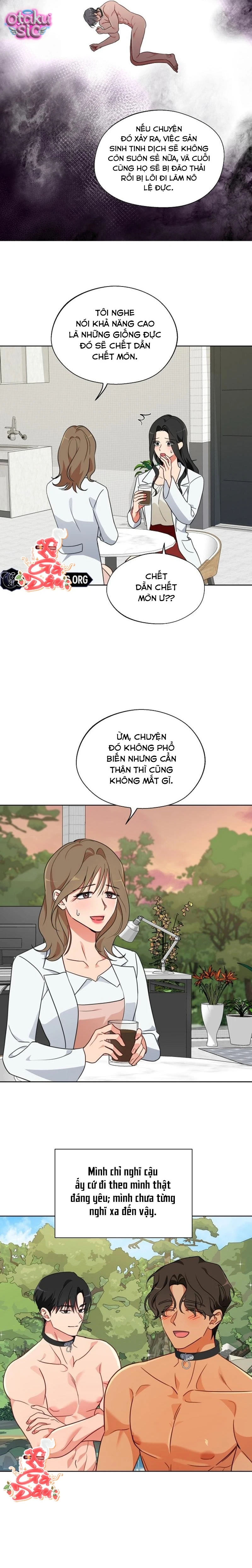 [18+] Mãnh Thú Trong Phòng Nhân Giống - Chap 12 - Trang 8