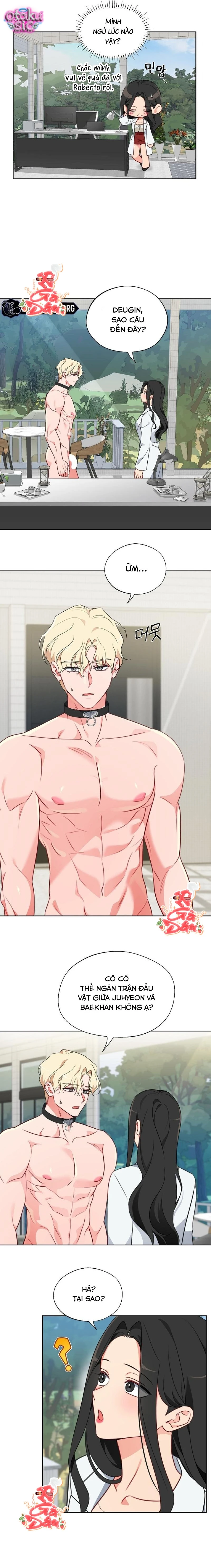 [18+] Mãnh Thú Trong Phòng Nhân Giống - Chap 13 - Trang 11