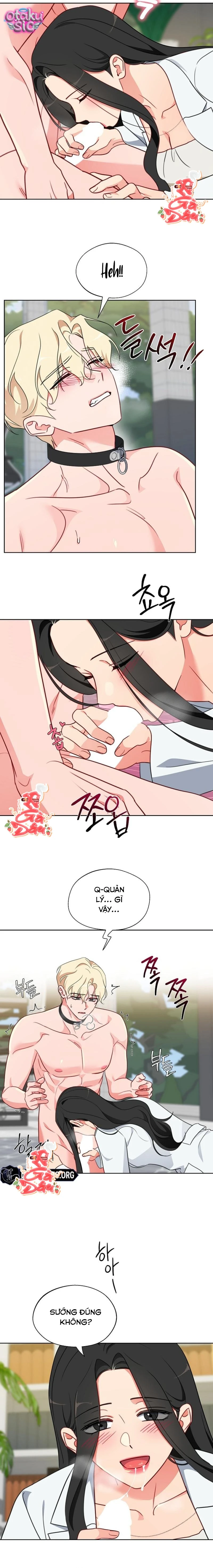 [18+] Mãnh Thú Trong Phòng Nhân Giống - Chap 14 - Trang 12
