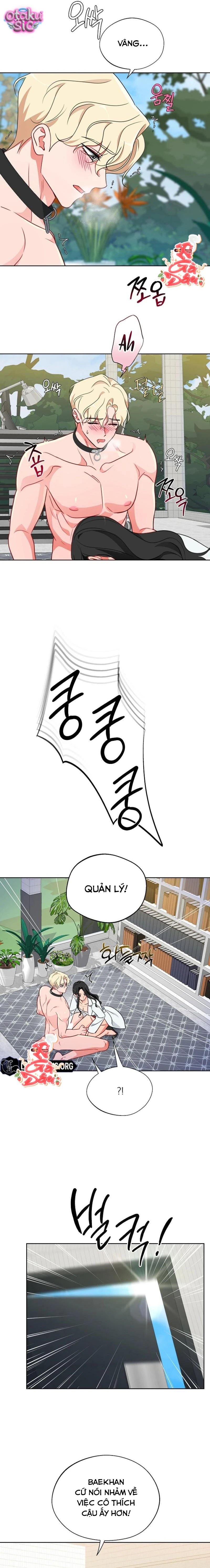 [18+] Mãnh Thú Trong Phòng Nhân Giống - Chap 14 - Trang 13