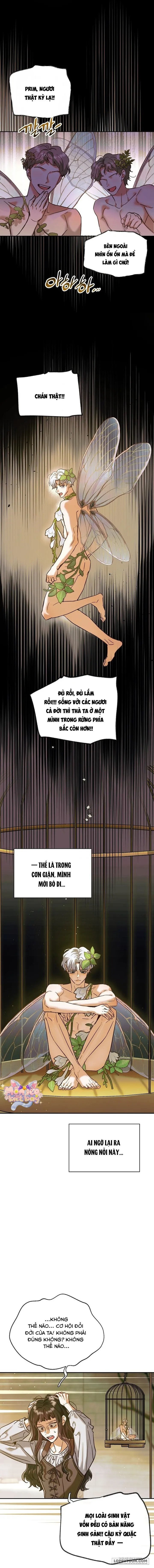 [18+] Nếu Nam Chính Nhỏ Thì Có Hơi Rắc Rối Phải Không? - Chap 2 - Trang 13