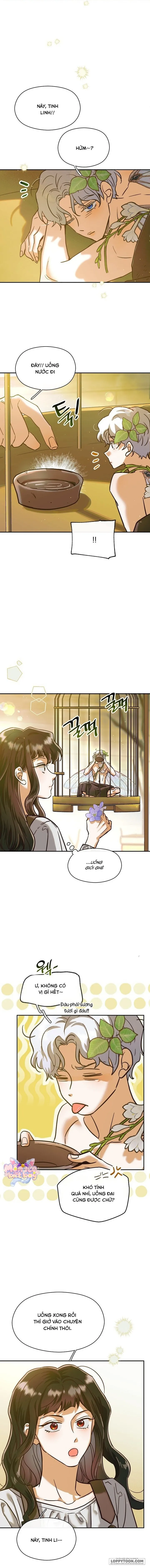 [18+] Nếu Nam Chính Nhỏ Thì Có Hơi Rắc Rối Phải Không? - Chap 2 - Trang 9