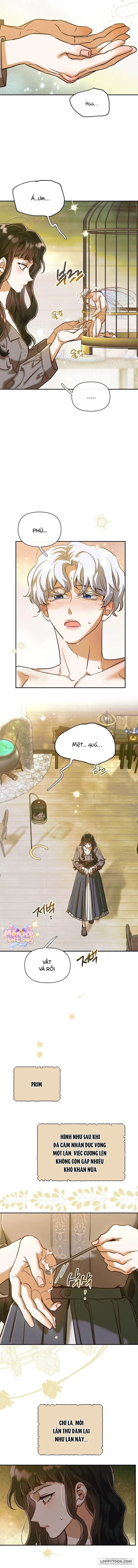 [18+] Nếu Nam Chính Nhỏ Thì Có Hơi Rắc Rối Phải Không? - Chap 3 - Trang 9