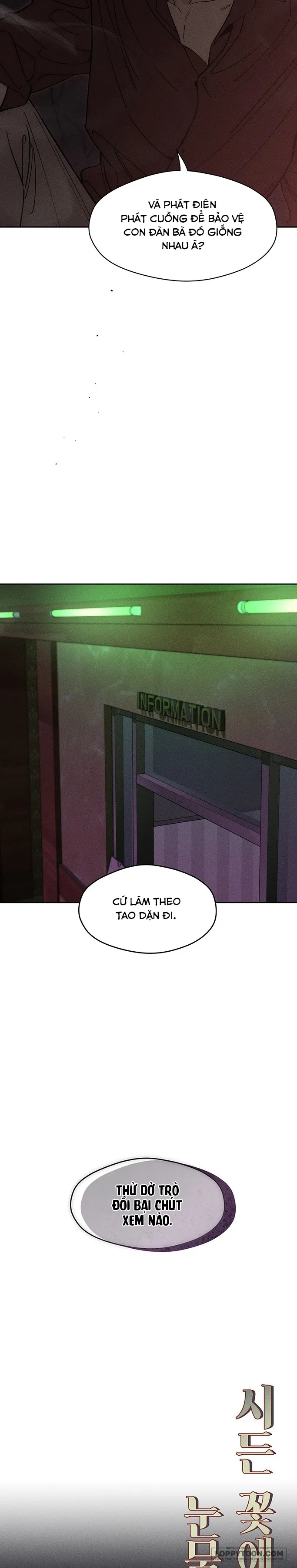 〚18+〛Lệ Vương Trên Cánh Hoa Tàn - Chap 80 - Trang 25