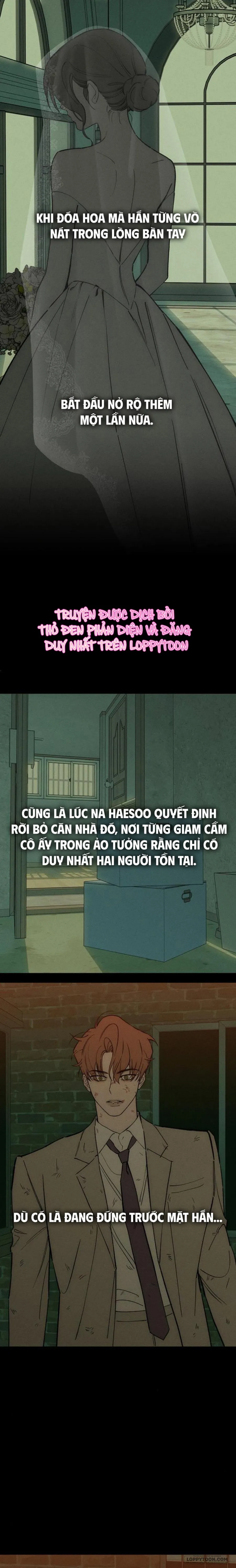 〚18+〛Lệ Vương Trên Cánh Hoa Tàn - Chap 99 - Trang 25