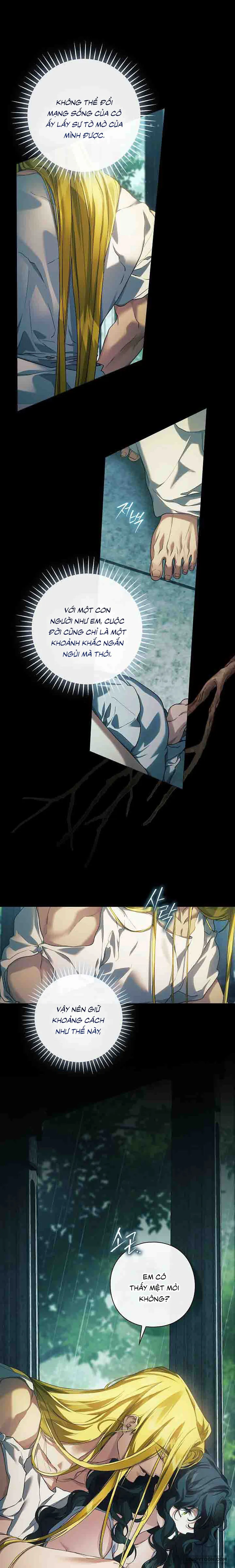 [19+] Dành Cho Các Nữ Thần: Dành Cho Daphne - Chap 36 - Trang 11