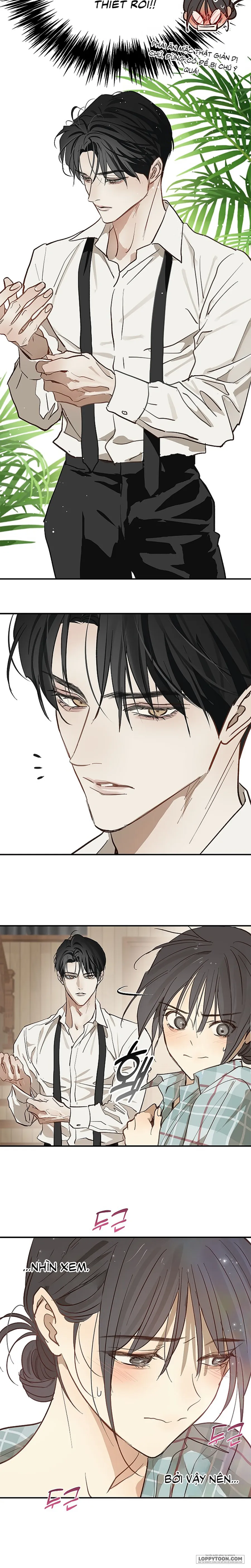 [19+] Đóa Hoa Là Mồi Nhử - Chap 33 - Trang 19